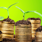 SAVINGS ACCOUNTS 350 X 240 SAVINGS ACCOUNTS
